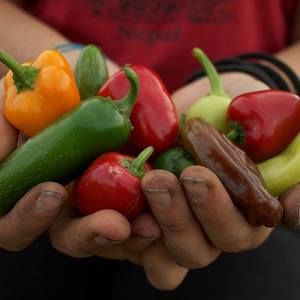 Meet your Posher, Kayla